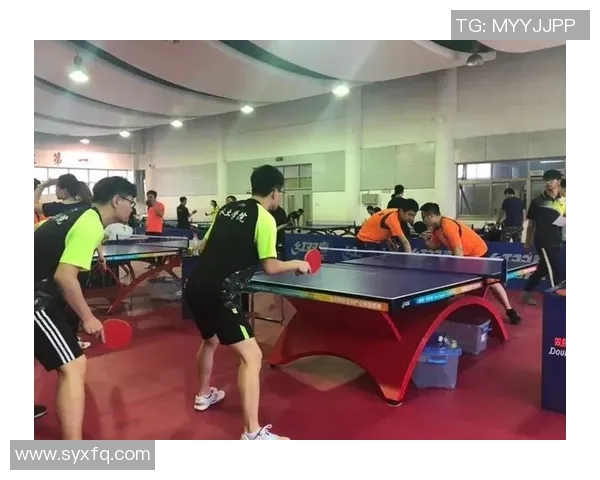 南京乒乓球队意识探讨与发展策略的深度分析与思考