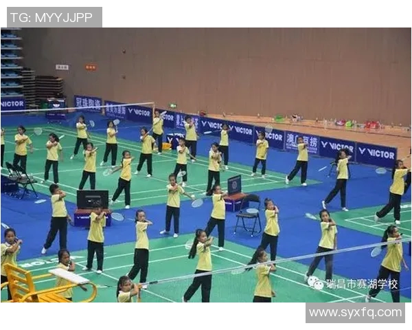 深圳羽毛球队的蜕变之路与深度解析羽毛球运动的未来发展