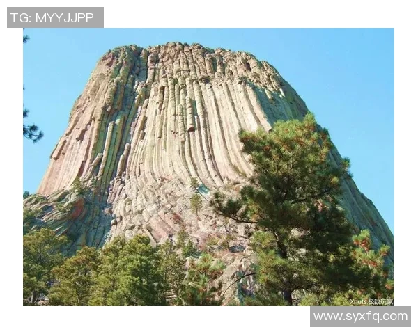 攀岩爱好者必看：挑选最佳防护垫的全面指南与推荐