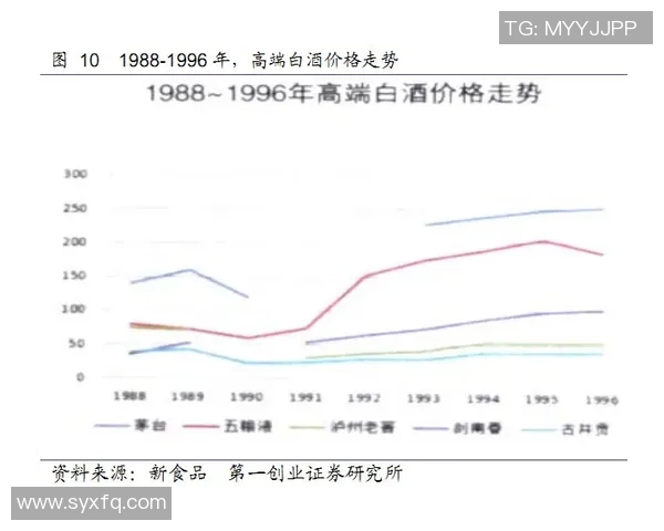 广州极限运动队现状分析与未来发展展望的深度探讨